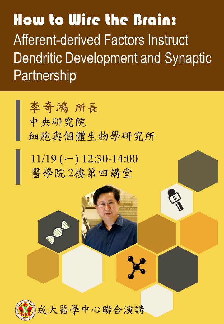 《11/19醫學中心聯合演講》李奇鴻 所長-How to Wire the Brain:Afferent-derived Factors Instruct Dendritic Development and Synaptic Partnership