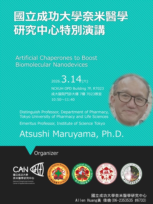 Artificial Chaperones to Boost Biomolecular Nanodevices